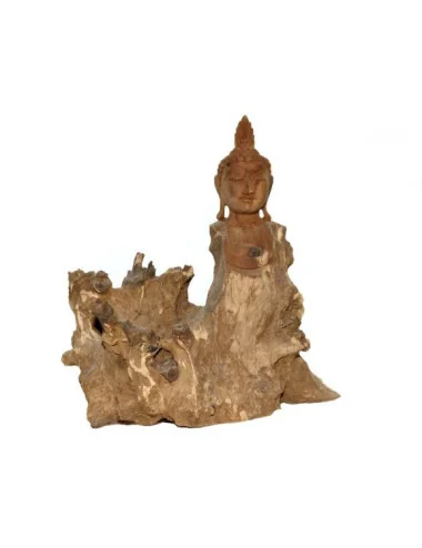 Bouddha racine sculptée