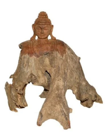 Bouddha racine sculptée